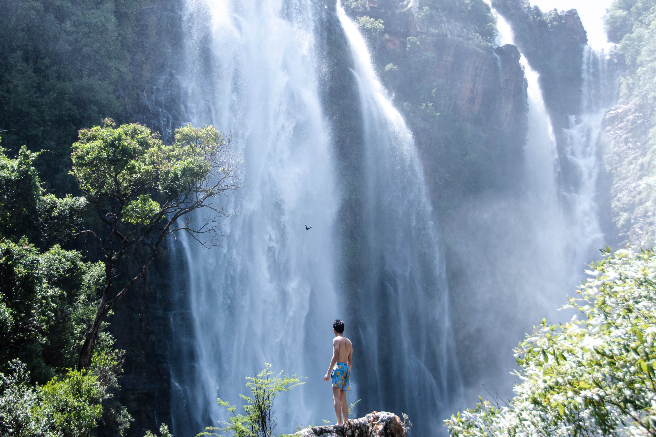 Lisbon falls Hiking to the bottom and into a lost world Reasons 2